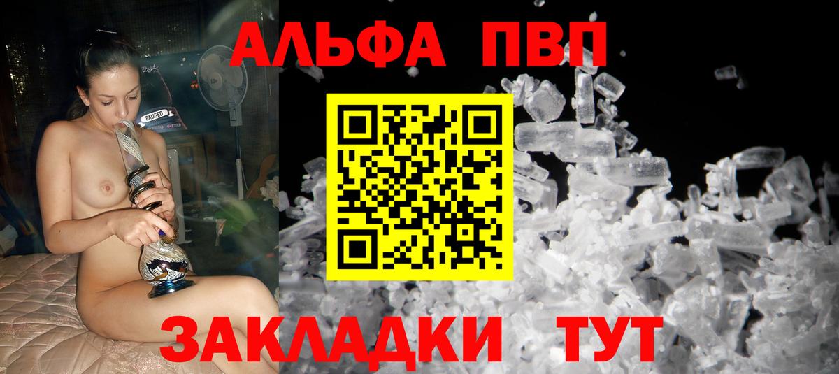 Alfa_PVP СК Ачхой-Мартан