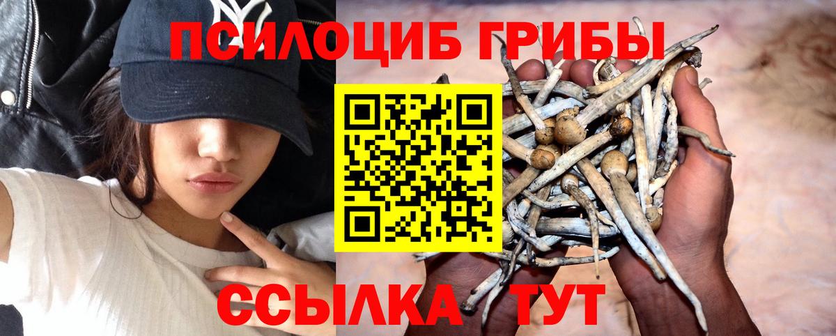 Ачхой-Мартан  Галлюциногенные грибы мухоморы  Вход с VPN  где найти наркотики  Галлюциногенные грибы MAGIC MUSHROOMS 