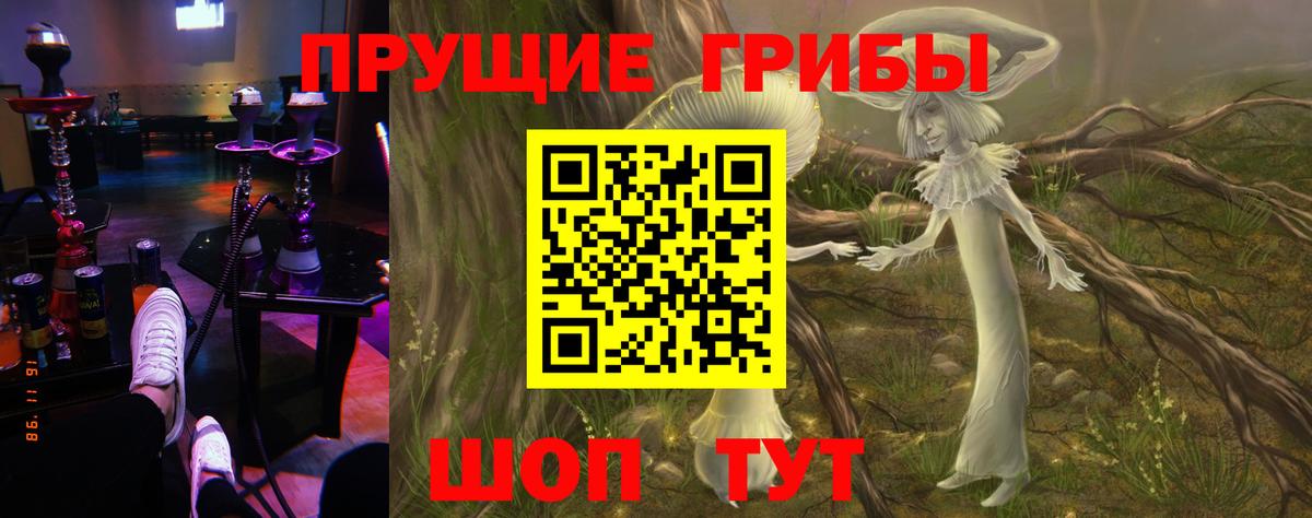 Псилоцибиновые грибы мухоморы Ачхой-Мартан